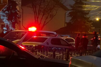 video scandal la navodari cu amenintari pe tiktok intre doua asa zise clanuri si masina vandalizata au intervenit mascatii 6988ccca5ae70