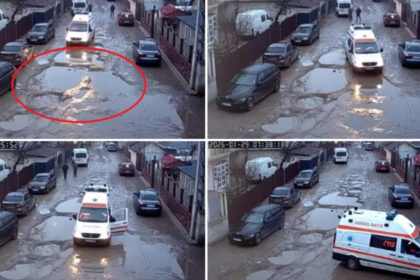 video sosele distruse localnici revoltati judetul in care o ambulanta in misiune s a rupt in gropile de pe drum a plecat stricata cu ea 6982f1bb0fcec