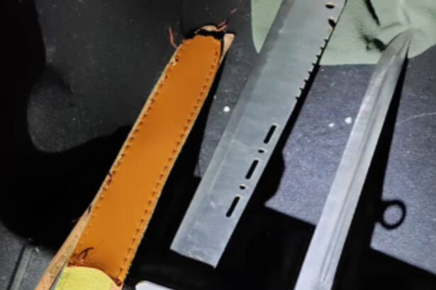 video trei tineri au fost prinsi de jandarmii din bucuresti cu maceta cutit si topor doi aveau antecedente dintr o altercatie in ianuarie 699833ea637d2