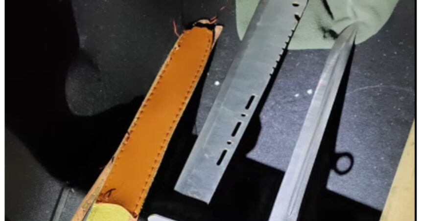 video trei tineri au fost prinsi de jandarmii din bucuresti cu maceta cutit si topor doi aveau antecedente dintr o altercatie in ianuarie 699833ea637d2