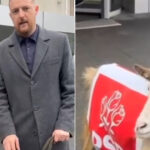 video un deputat aur a iesit la protest cu o capra imbracata in sigla psd e un simbol reactia internautilor sunteti penibil 698df8c44a169