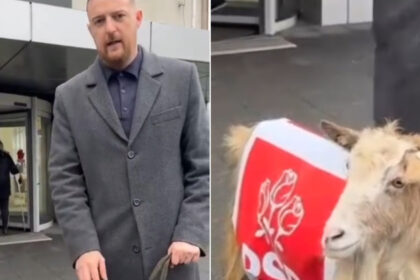video un deputat aur a iesit la protest cu o capra imbracata in sigla psd e un simbol reactia internautilor sunteti penibil 698df8c44a169