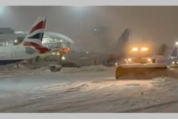 video verifica aici cursele anulate de pe aeroportul henri coanda si bucuresti baneasa autoritatile conditii de ninsoare abundenta si viscol puternic 69956bd546c68