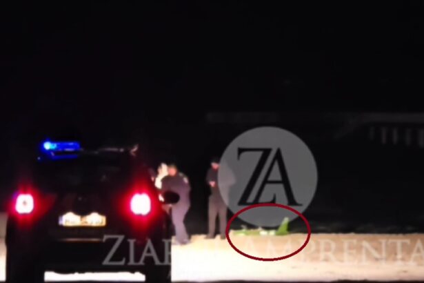 video vesti de ultima ora despre drona gasita seara trecuta pe plaja din mamaia de unde ar porveni 698b1f1dcd04d