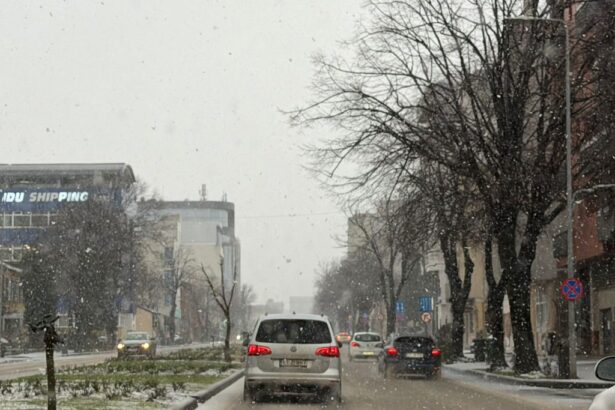 vine viscolul in dobrogea meteorologii anunta vant puternic ploi si ninsori 69982029b98cd