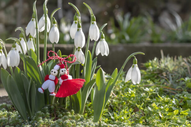 1 martie 2026 semnificatia primei zile de primavara care sunt cele mai cunoscute si indragite traditii romanesti 69a3d92c8667b