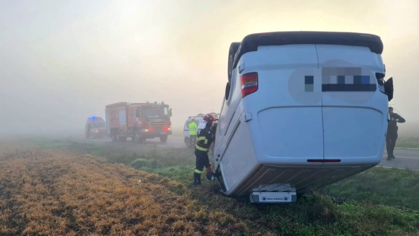 accident cu 9 masini pe dn3 aproape de iesirea pe autostrada a4 constanta ovidiu 13 persoane implicate 69a7cbccece98