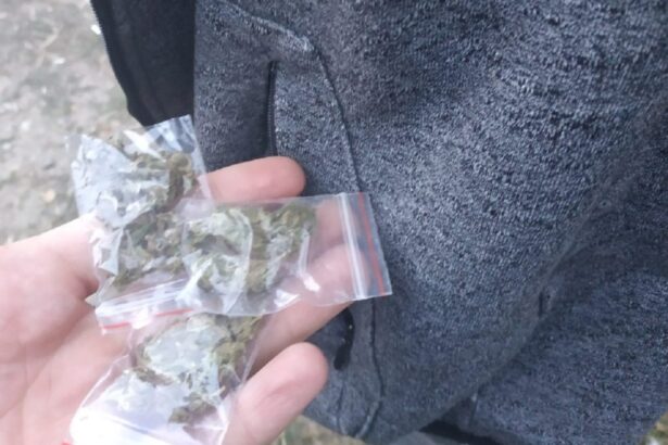 afaceri in fata hotelului malibu de la intrare in mamaia declaratia completa a unui traficant de la telegram la 200 de lei gramul 69a959163ff4a