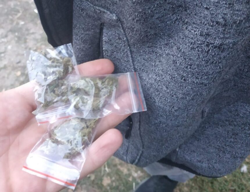 afaceri in fata hotelului malibu de la intrare in mamaia declaratia completa a unui traficant de la telegram la 200 de lei gramul 69a959163ff4a