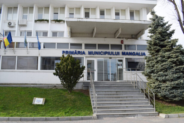 afaceristii din mangalia cer anularea unui important regulament local despre care judecatorii spun ca instituia o taxa nelegala ce s a intamplat in proces 69acf59f670b2