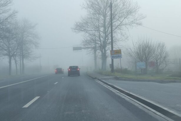 alerta cod galben de ceata in constanta si tulcea vizibilitatea este redusa 69a3e1c8e79c6