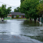 alerta in australia dupa inundatii crocodili absolut peste tot nu mergeti sa va scaldati peste 1 000 de oameni au fost evacuati 69aedcb48aab5