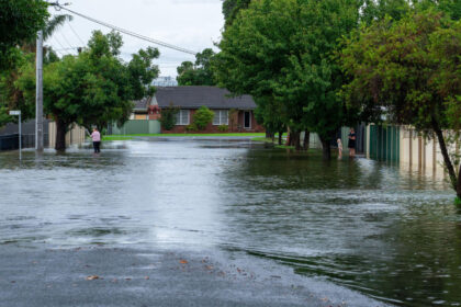 alerta in australia dupa inundatii crocodili absolut peste tot nu mergeti sa va scaldati peste 1 000 de oameni au fost evacuati 69aedcb48aab5