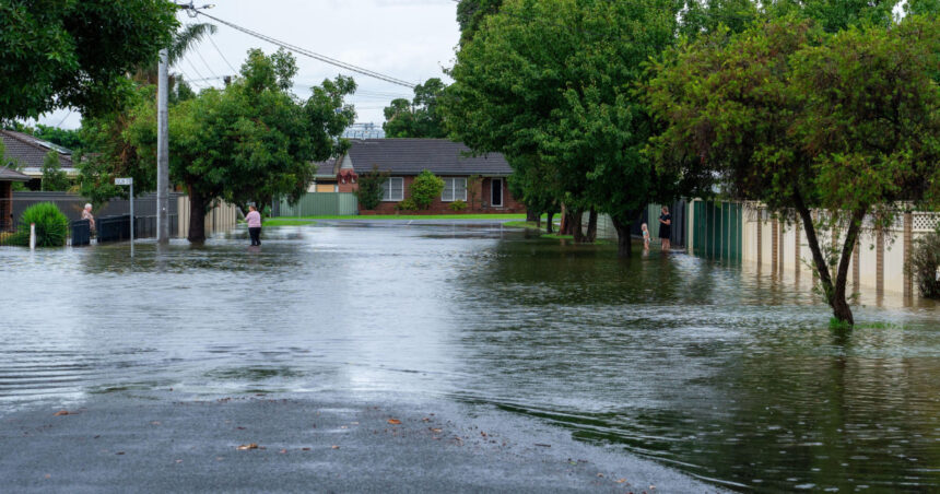 alerta in australia dupa inundatii crocodili absolut peste tot nu mergeti sa va scaldati peste 1 000 de oameni au fost evacuati 69aedcb48aab5