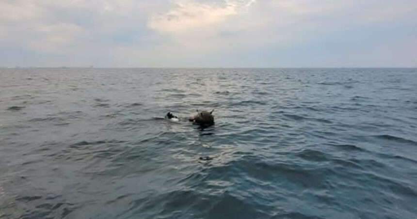 ambasada rusiei la bucuresti da vina pe ucraina pentru minele din marea neagra mapn incercari de distorsionare a realitatii 69c65869e6e60