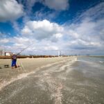 anar a reluat licitatiile pentru 10 sectoare de plaja din navodari si alte 92 in alte statiuni 69cc41800e809