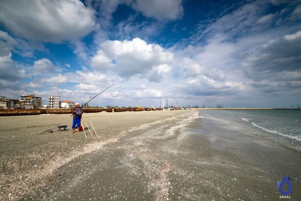 anar a reluat licitatiile pentru 10 sectoare de plaja din navodari si alte 92 in alte statiuni 69cc41800e809