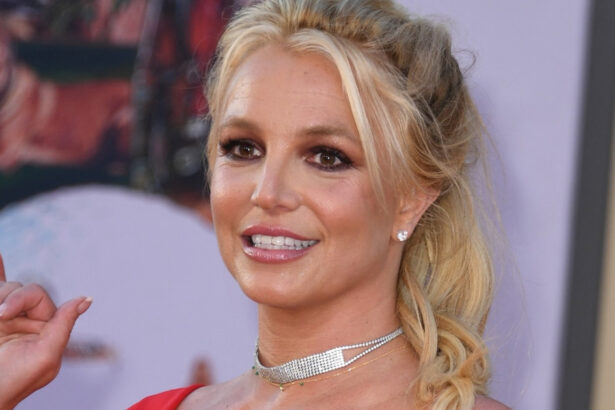 britney spears arestata in california un incident nefericit de neiertat 69a9bd5e6ea01