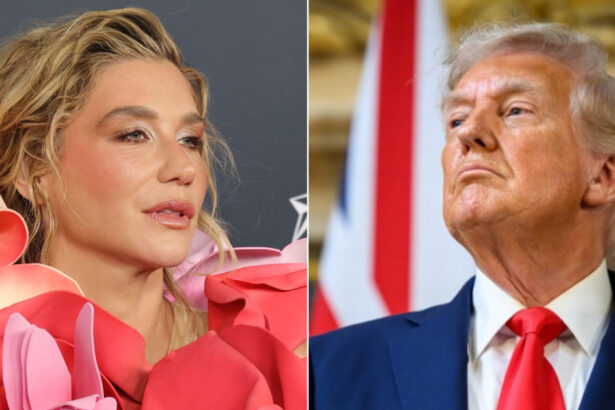 cantareata kesha ironizata dupa ce l a numit pe trump infractor pradator casa alba artistii sunt luati in ras 69a84c3c0cef8