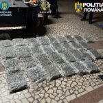 captura uriasa de droguri la vama un italian prins cu zeci de kilograme de canabis ascunse in trolere 69c16f693312b