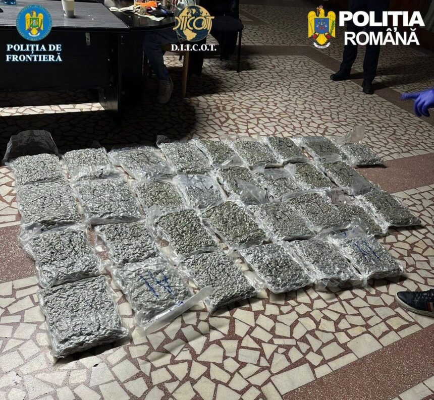 captura uriasa de droguri la vama un italian prins cu zeci de kilograme de canabis ascunse in trolere 69c16f693312b