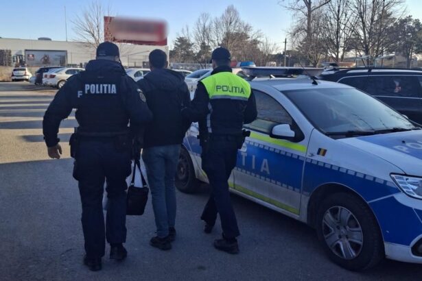 caz socant in sudul litoralului incendiu pus intentionat in limanu un barbat a fost arestat preventiv 69c6729c8fa81