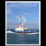 compania midia marine terminal despre remorcherul astana desemnarea si contractarea unei firme pentru ranfluarea navei scufundate in cel mai scurt timp posibil 69c2c0f6176c3