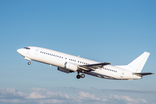 companiile aeriene europene cer amanarea regulilor ue privind combustibilul verde pentru avioane 69b91454885db