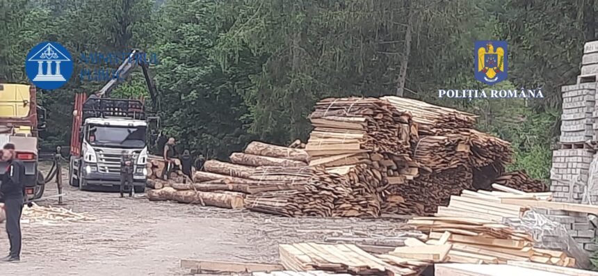 consiliul judetean constanta ar putea deveni parte civila intr un dosar de furt de lemn din padurea coslugea 69c079494c531