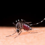 copii suspectati de malarie 10 semnale de alarma care va trimit la spital potrivit medicului tudor ciuhodaru 69c261fd94d26