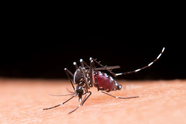 copii suspectati de malarie 10 semnale de alarma care va trimit la spital potrivit medicului tudor ciuhodaru 69c261fd94d26