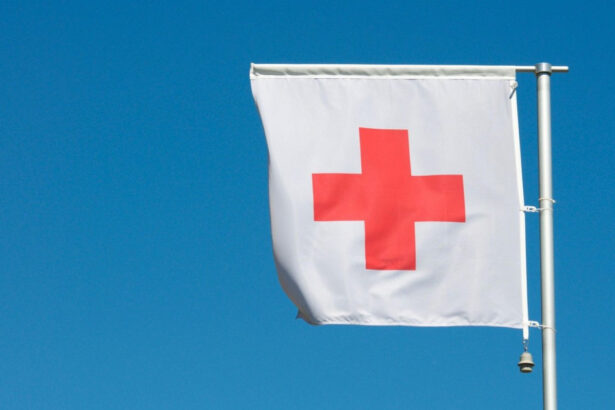 crucea rosie internationala face apel la 44 de milioane euro pentru a ajuta persoanele afectate de razboiul din iran 69b0780fed3b2