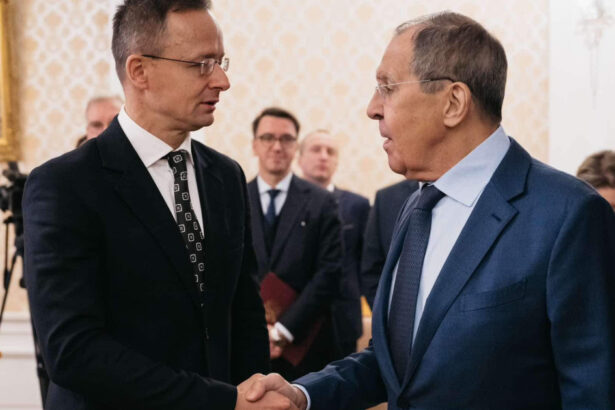 cum s ar putea amesteca moscova in alegerile din ungaria peter szijjarto refugiu in rusia daca fidesz pierde presa 69c62abb34456