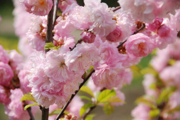 cum va fi vremea de paste in ce zone temperaturile ajung pana la 20 de grade 69becfedb4baa