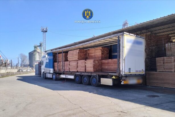 descoperire surpriza in portul constanta politistii au deschis un dosar penal iata despre ce este vorba 69b2a8abac995