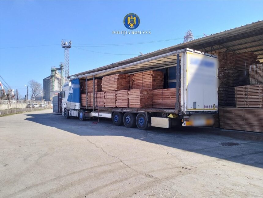 descoperire surpriza in portul constanta politistii au deschis un dosar penal iata despre ce este vorba 69b2a8abac995