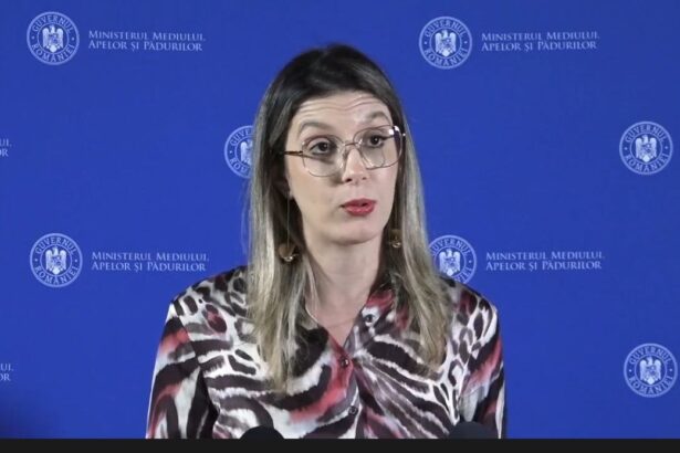 diana buzoianu declaratii soc pentru prima data la ministerul mediului si la anar s au facut licitatii publice pe un caiet de sarcini care n a mai fost scris de grupuri de interese 69a5ed9eddf7f