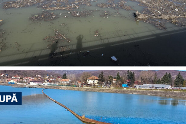 diana buzoianu lauda interventia rapida tone de gunoaie din lacul de acumulare de la calimanesti eliminate in doar cateva zile 69ad648917177