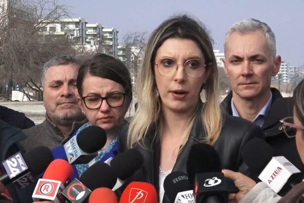 diana buzoianu ministrul mediului explica pe plaja navodari mecanismul prin care au aparut constructiile ilegale din zona costiera ce rol au avut primariile 69b40f3731dc0