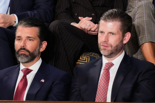 domeniul in care fiii cei mari ai lui donald trump au ales sa investeasca trezind din nou suspiciuni de conflict de interese 69afdd557dc61