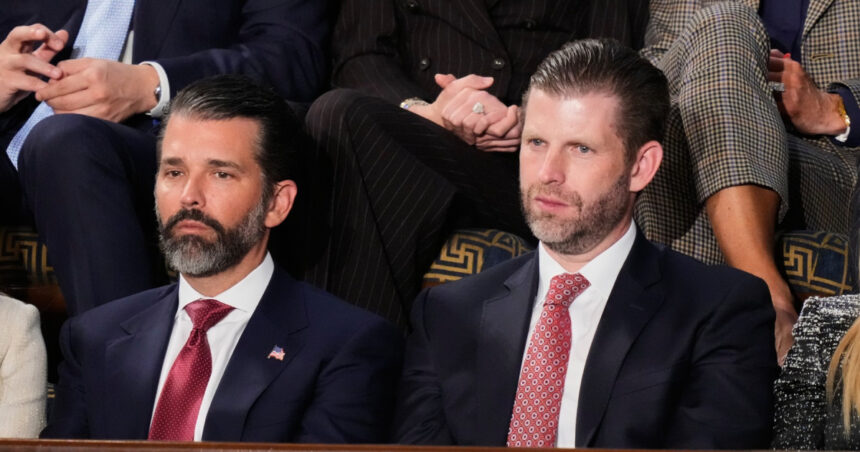 domeniul in care fiii cei mari ai lui donald trump au ales sa investeasca trezind din nou suspiciuni de conflict de interese 69afdd557dc61