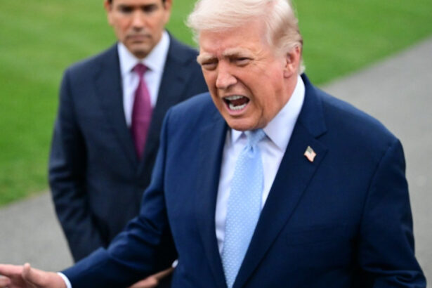 donald trump omagiu la moartea lui chuck norris nu ti venea sa te pui cu el 69c13c9e5cbfc