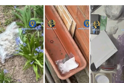 droguri ascunse in gradina printre zambile traficanti prinsi cu sute de grame de stupefiante 69bc14517a728