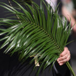 duminica floriilor 2026 la catolici cum se sarbatoreste intrarea domnului in ierusalim traditii si obiceiuri pe 29 martie 69c8bfab1ffba