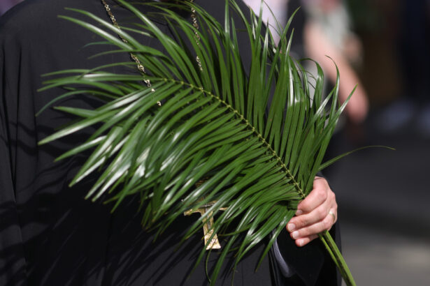 duminica floriilor 2026 la catolici cum se sarbatoreste intrarea domnului in ierusalim traditii si obiceiuri pe 29 martie 69c8bfab1ffba