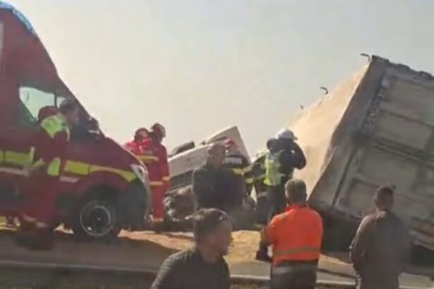 el este barbatul care a murit in accidentul rutier produs intre techirghiol si movilita este fratele unui regretat afacerist 69b951733cc79