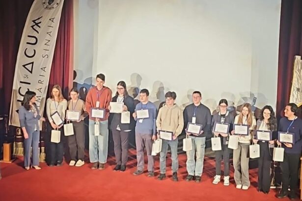 elevii din constanta olimpici la lingvistica doi mircisti calificati in lotul asia pacific linguistics olympiad 69c528331e792