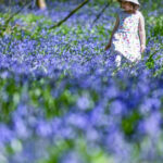 estimari meteo pentru aprilie perioada in care va fi mai cald decat de obicei si va ploua mai mult 69cb78006b370