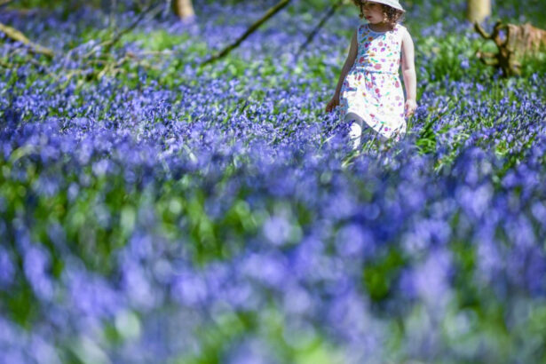 estimari meteo pentru aprilie perioada in care va fi mai cald decat de obicei si va ploua mai mult 69cb78006b370