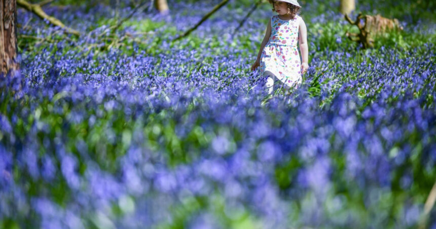 estimari meteo pentru aprilie perioada in care va fi mai cald decat de obicei si va ploua mai mult 69cb78006b370